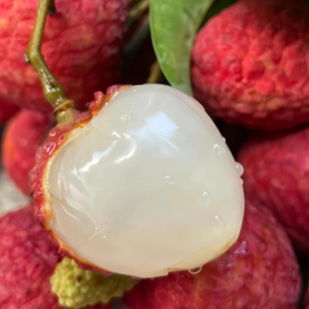 【顺丰包邮】海南桂花香荔枝1.8-5斤