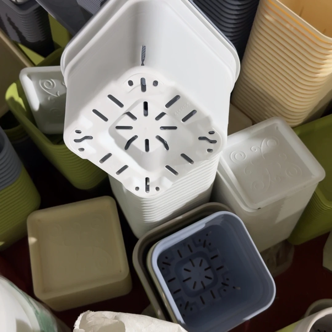 方2号10个白色口径21高18