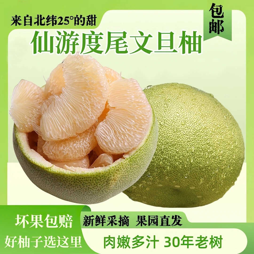 福建度尾文旦柚红心蜜柚老树柚子新鲜酸甜多汁孕妇应季时令水果柚