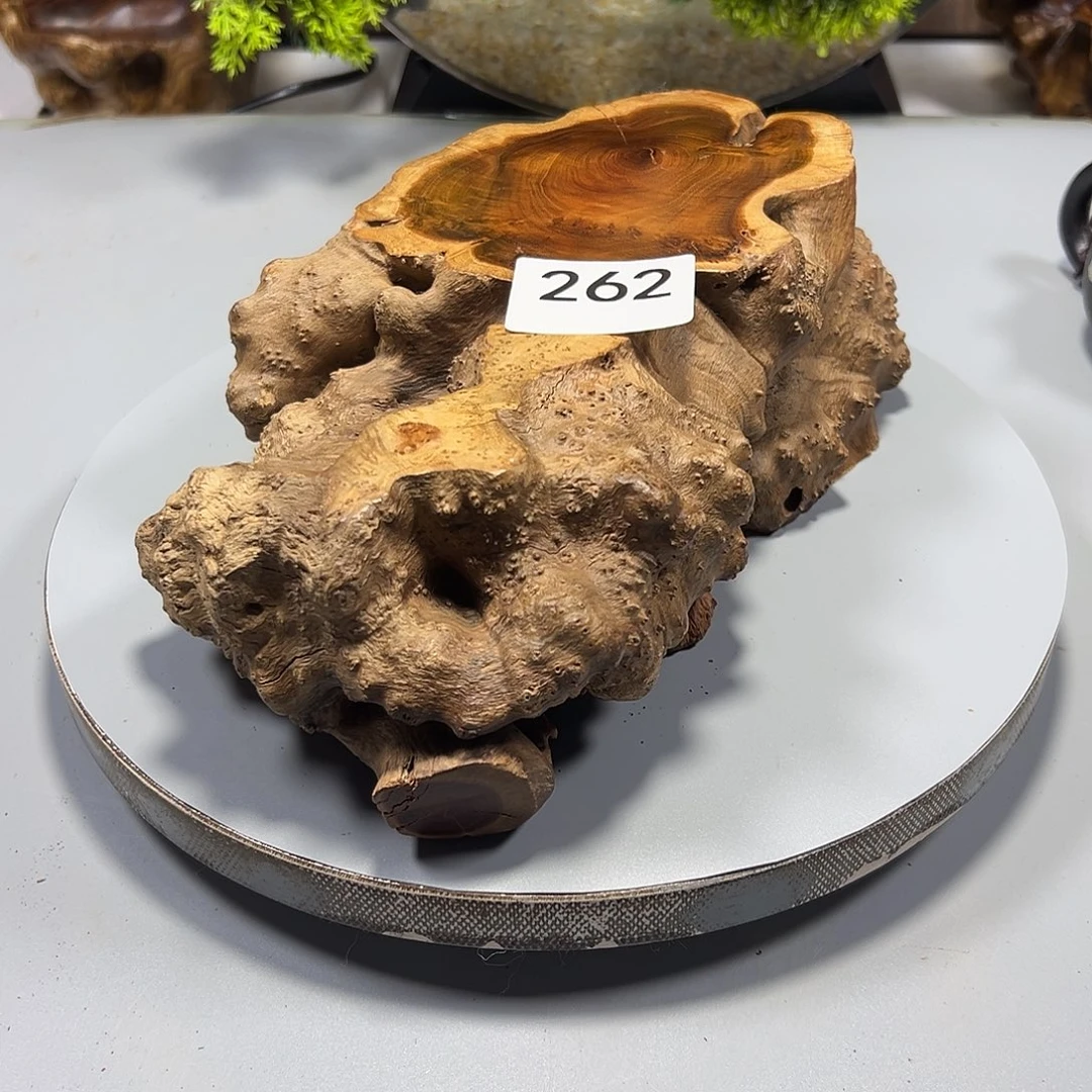 大果紫檀（缅甸花梨）雁*