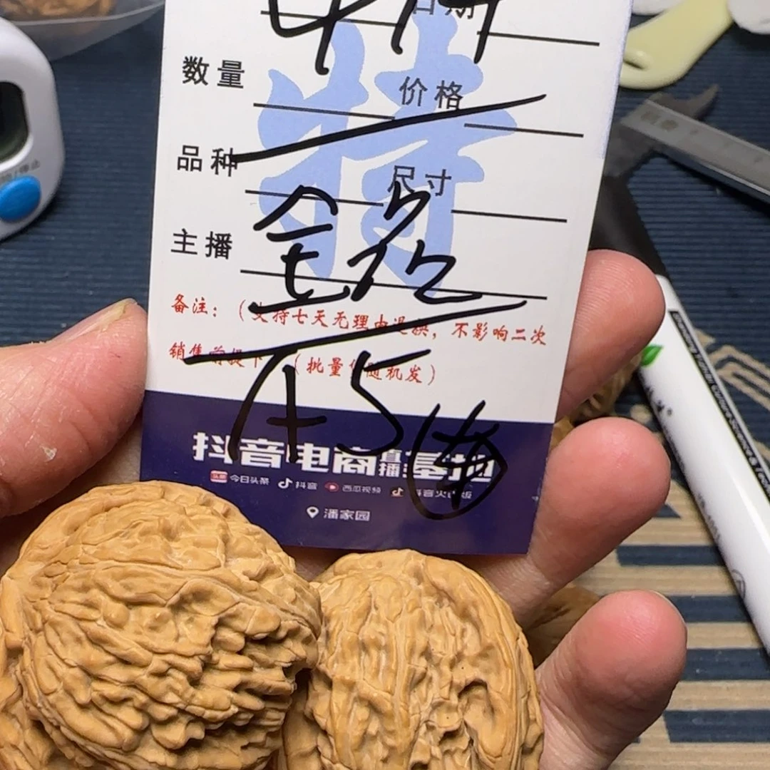 白狮子的故事是一个人