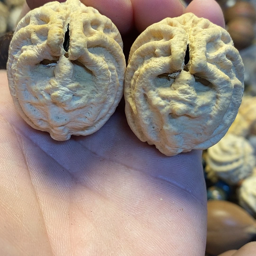 吊坠橄榄核乾坤鬼脸核桃