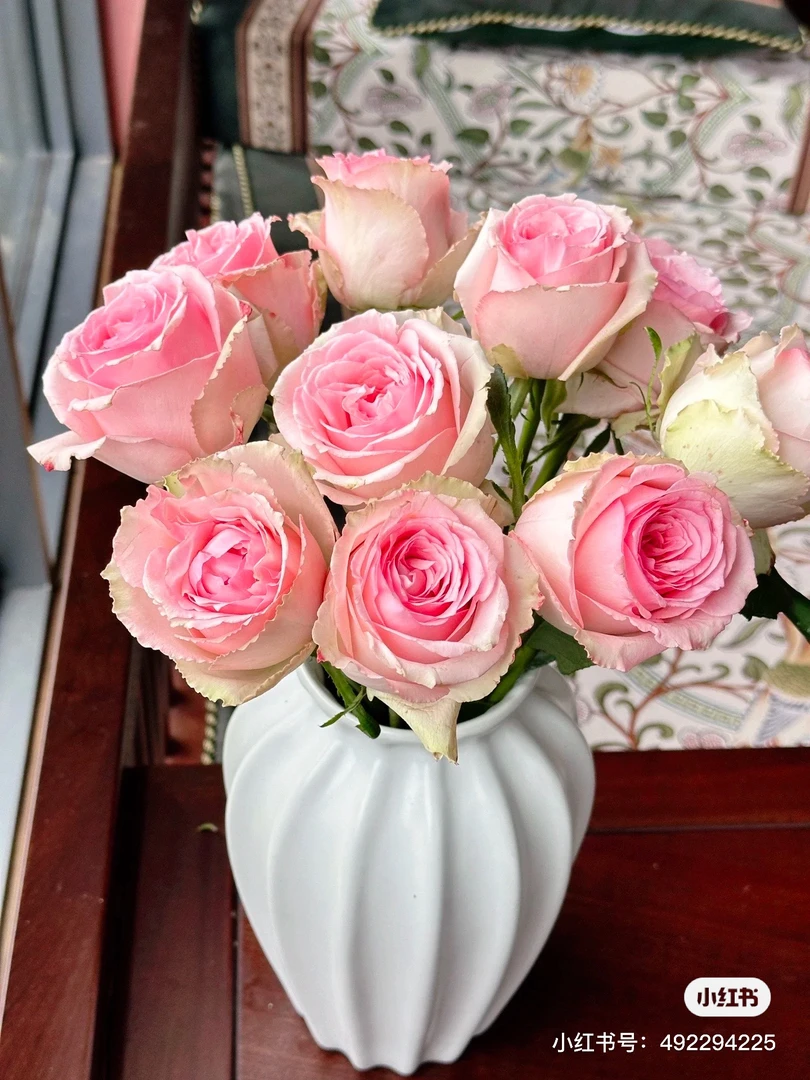 【玫瑰】测试103 任拍三单及以上包顺空鲜切花10支装%20不售后