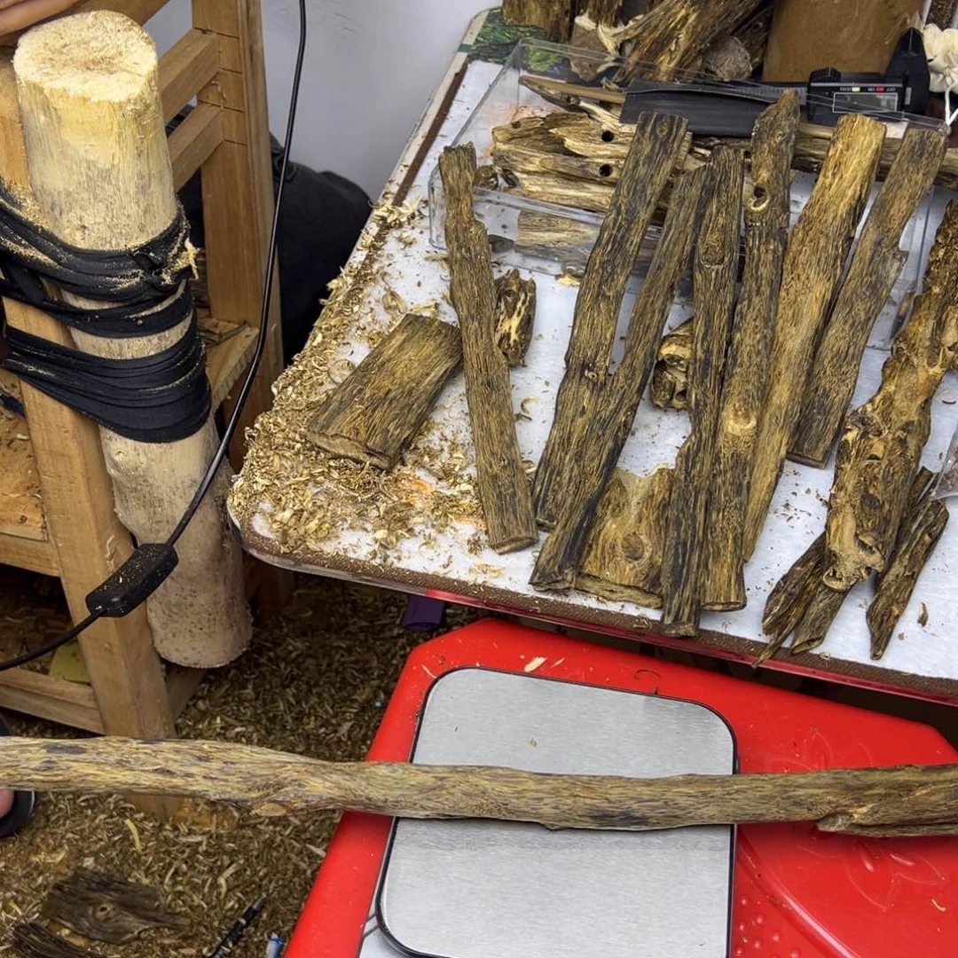 线香奇楠虫漏香97克