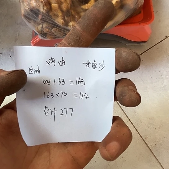 一***沙兰州百合中国大陆