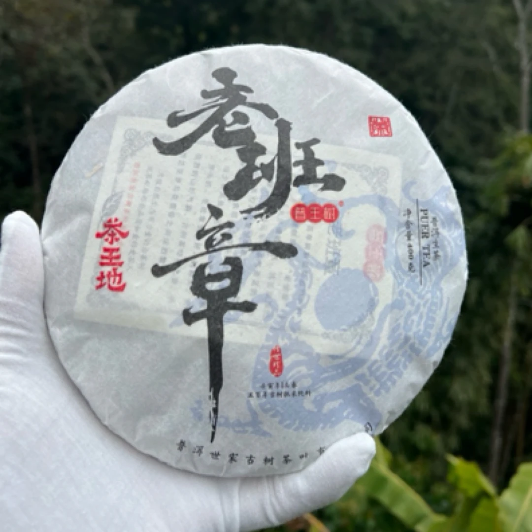 老班章茶王地古树2024年春400克生茶
