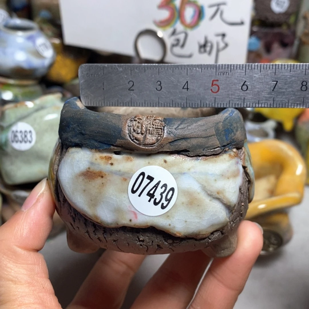 花盆拍3个送一个小礼物