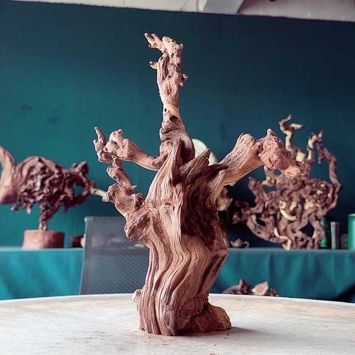 黑果木向*行528 金丝红木羊蹄甲半成品