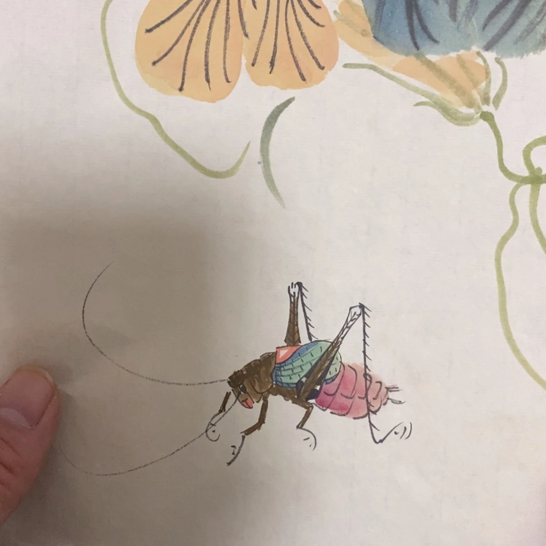 容**道闪购商品闪购商品