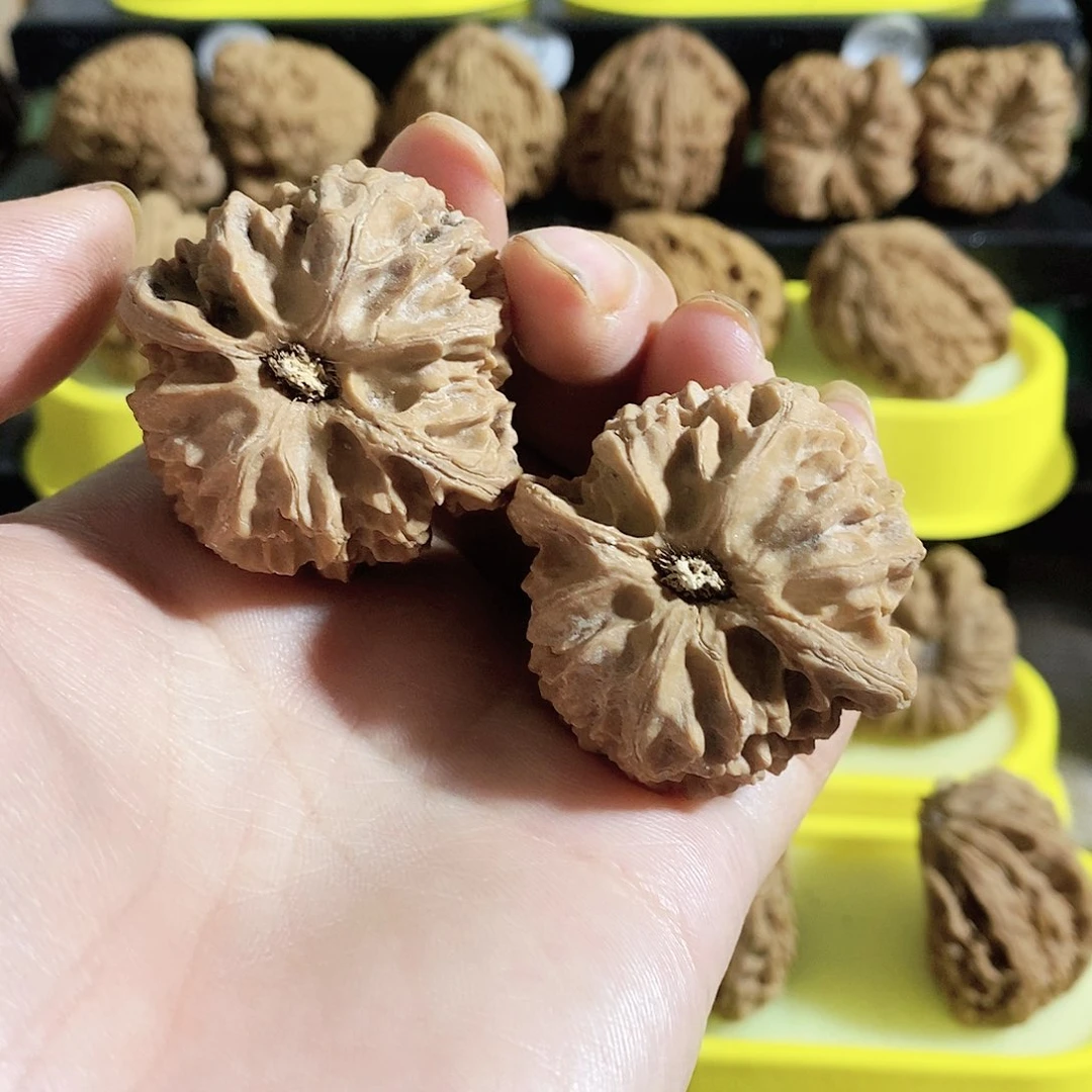 木质类今天的我是