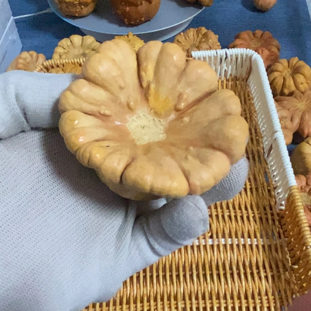 仙***气葫芦墨西哥七彩疙瘩葫芦手把件