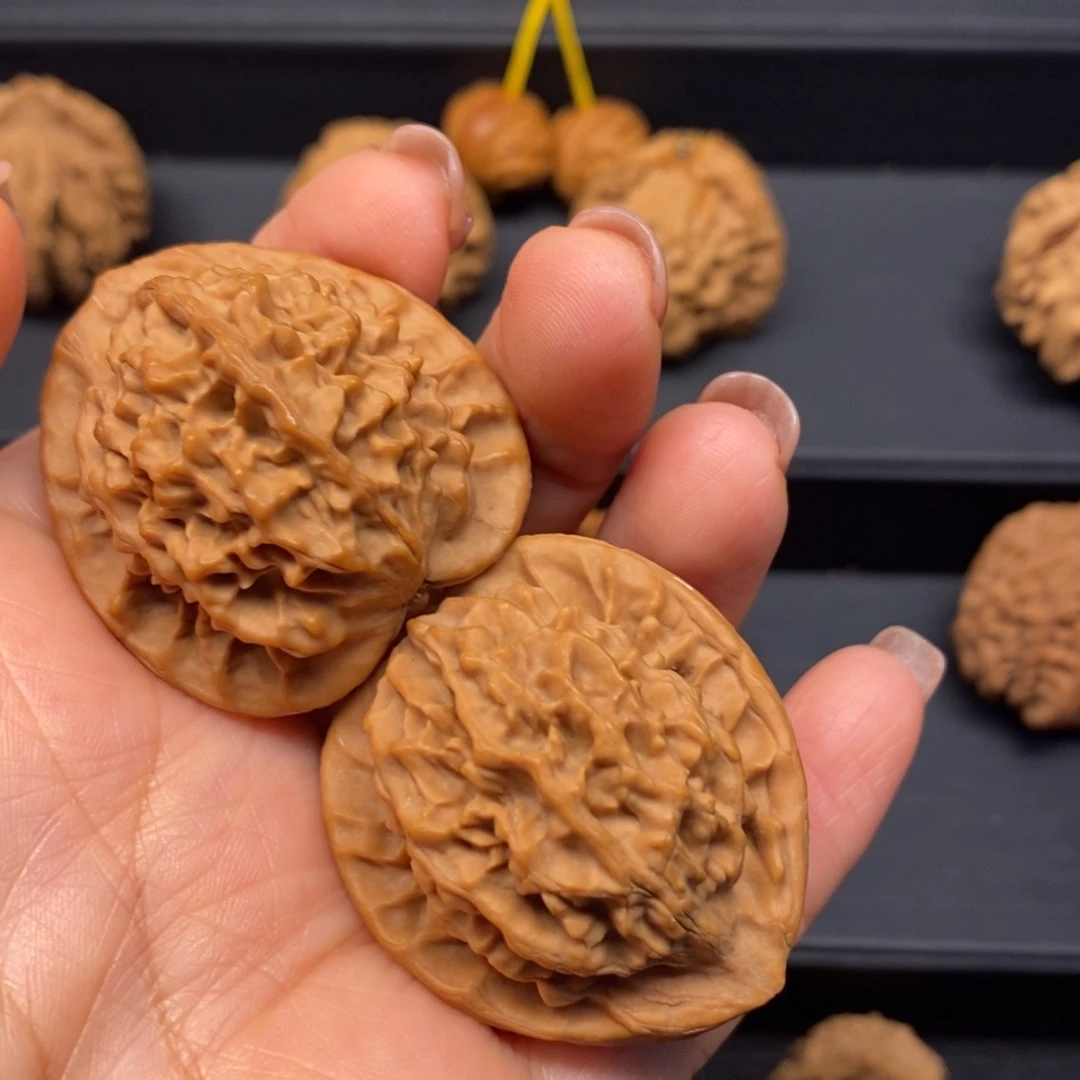 哈****y秦岭南侧和东北的一处