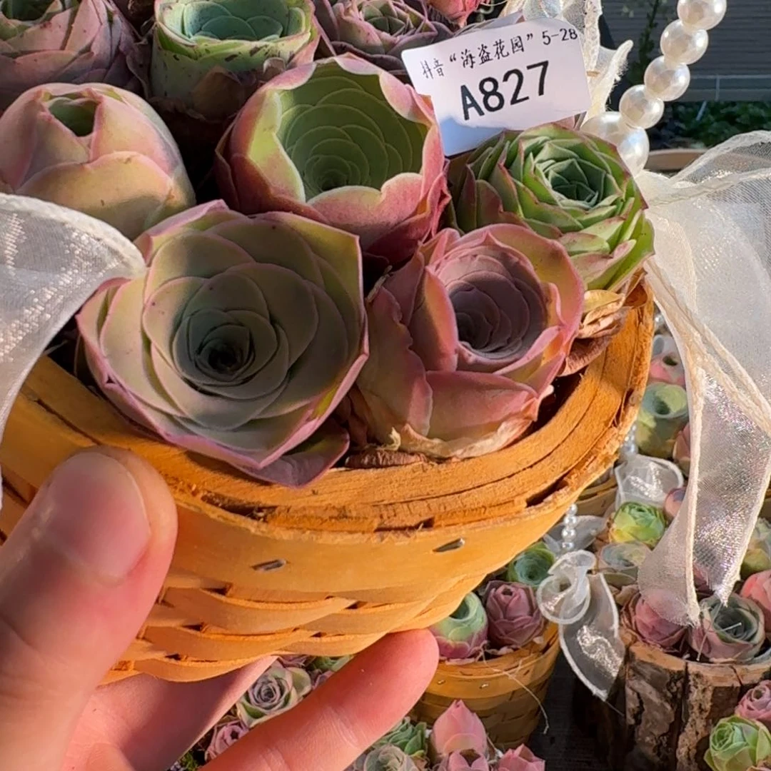 A827 竹编花篮玫瑰组合