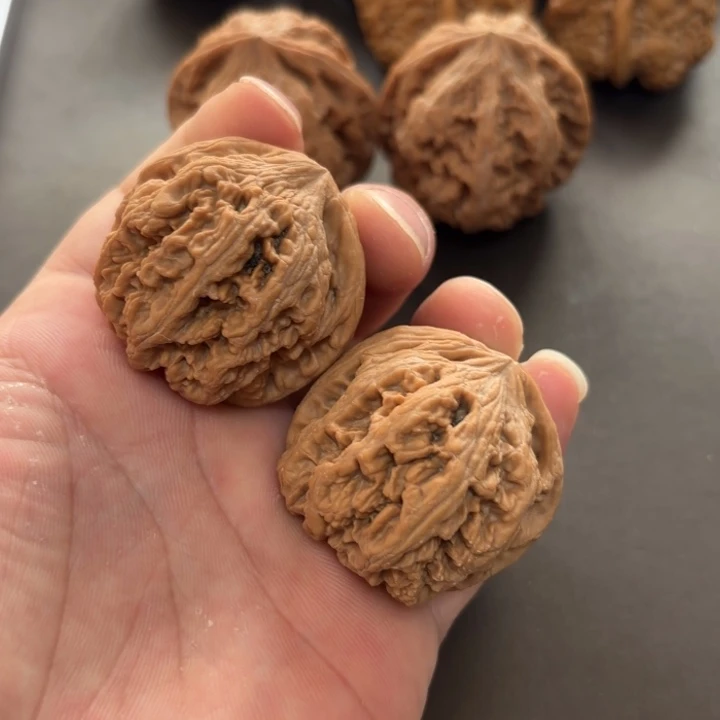 普***龙大叶紫檀（黑酸枝木类）粗筋