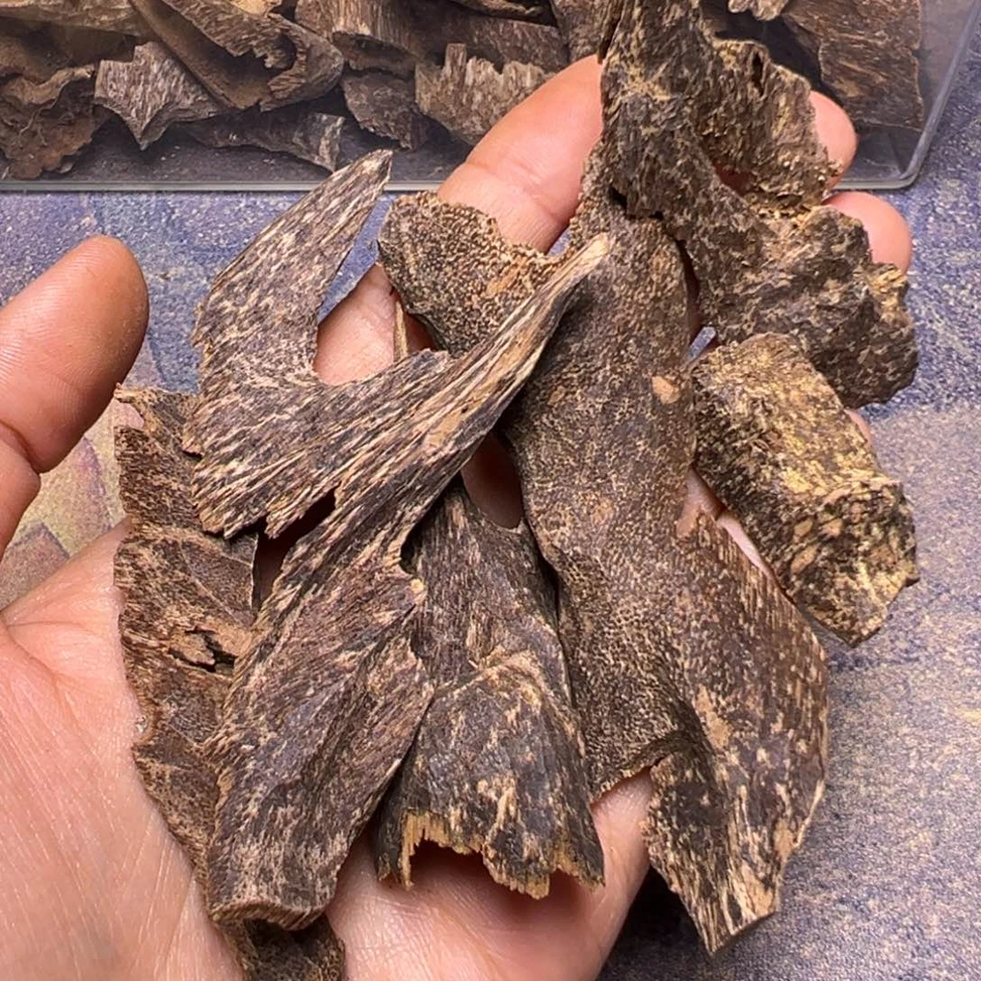 沉香碎屑沉香芽庄冷钻12克