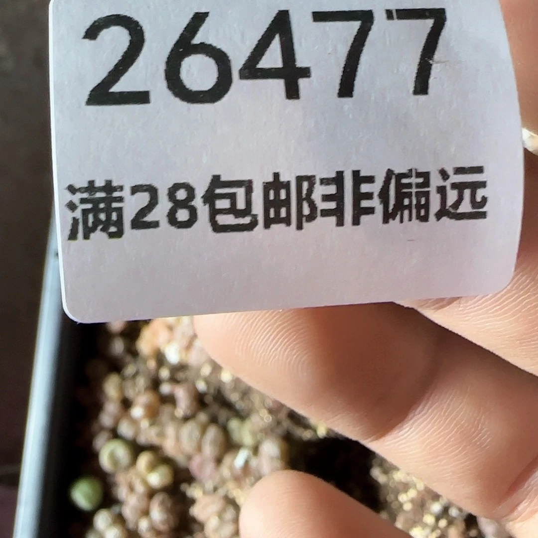 我****实脱土28包邮26477