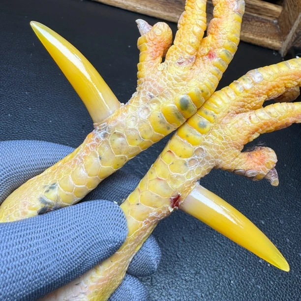 文玩鸡爪骨手把件(一对粗蹬 处理好十天左右发货)