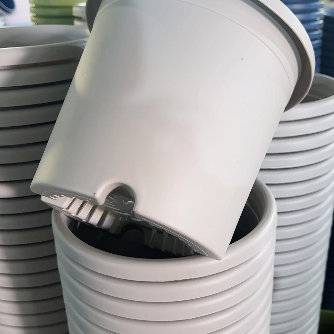 树脂特价4#无拖灰白8个