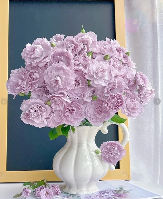 【新疆花之溪】蜻蜓玫瑰（8-10枝）