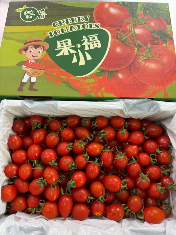 老牛专属 果小福蛙语小柿子 嘎嘎脆甜 1件2斤起快递包邮