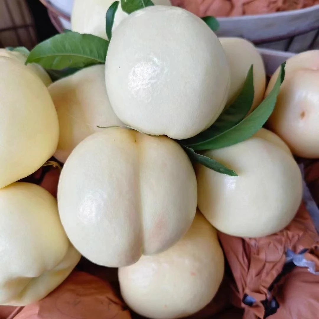 【商超品质】辽宁白桃新鲜大白桃葫芦岛当季水果香甜桃子无毛白玉桃