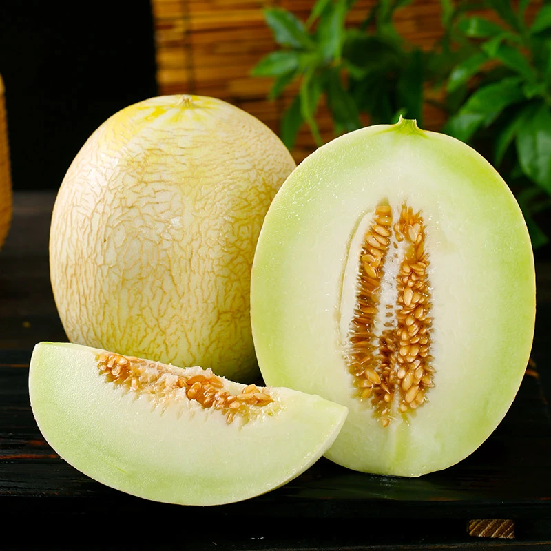 【现摘现发】甘肃民勤沙漠银蒂白兰瓜4-11斤蜜瓜新鲜当季水果产地