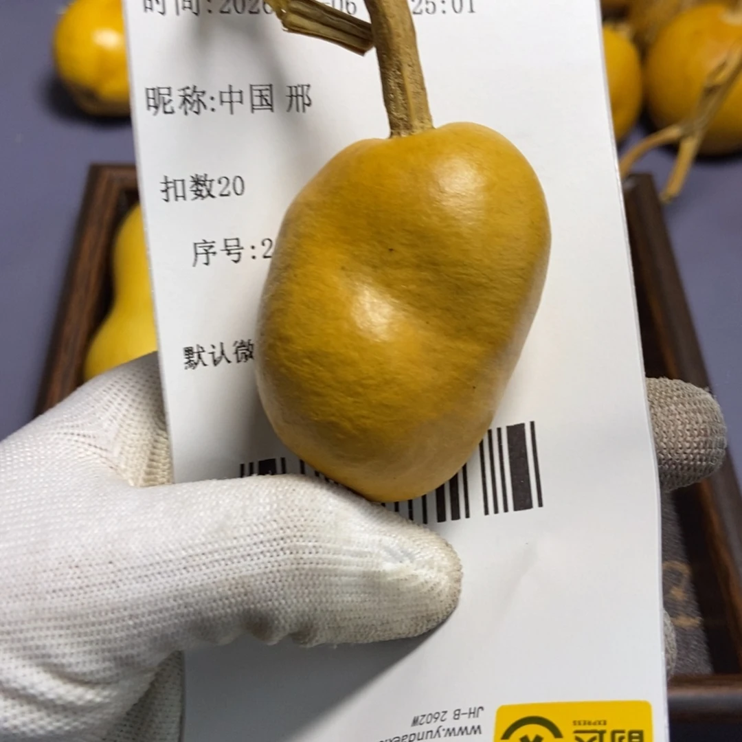 中**邢哈哈哈哈哈哈哈哈哈