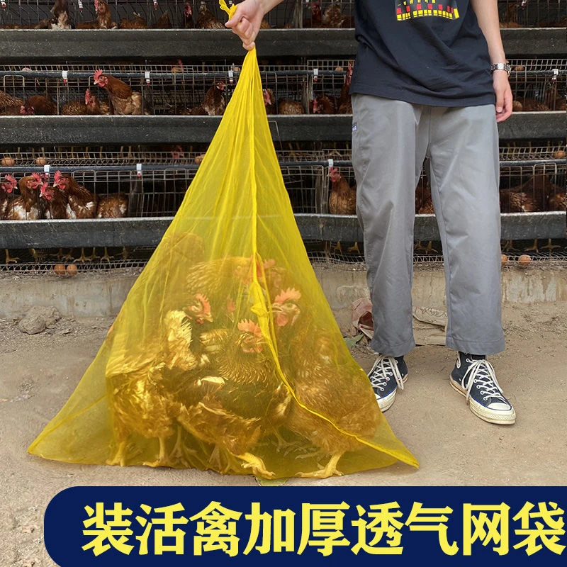 装鸡鸭鹅网袋网兜养鸡加厚家禽塑料尼龙