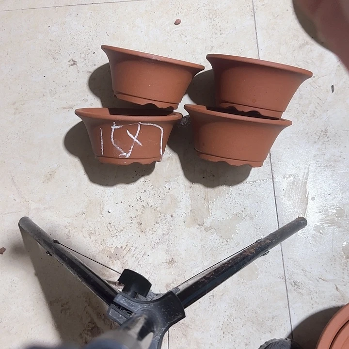 紫砂花盆破损包赔