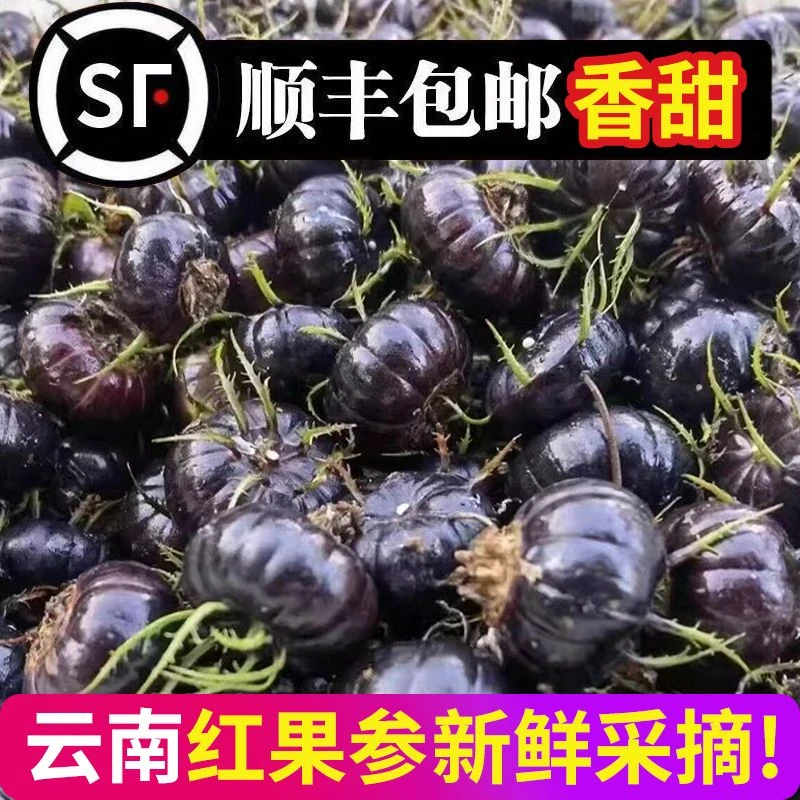 顺丰包邮云南马关红果参 蜘蛛果大黑果整箱新鲜水果大果