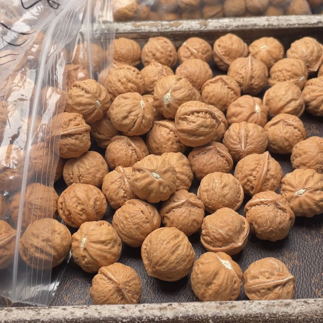 【闪购商品】核桃其他私人定制288米