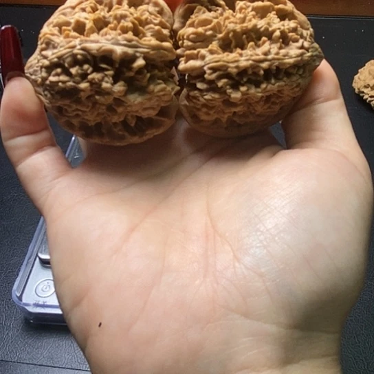 【闪购商品】把件文玩核桃