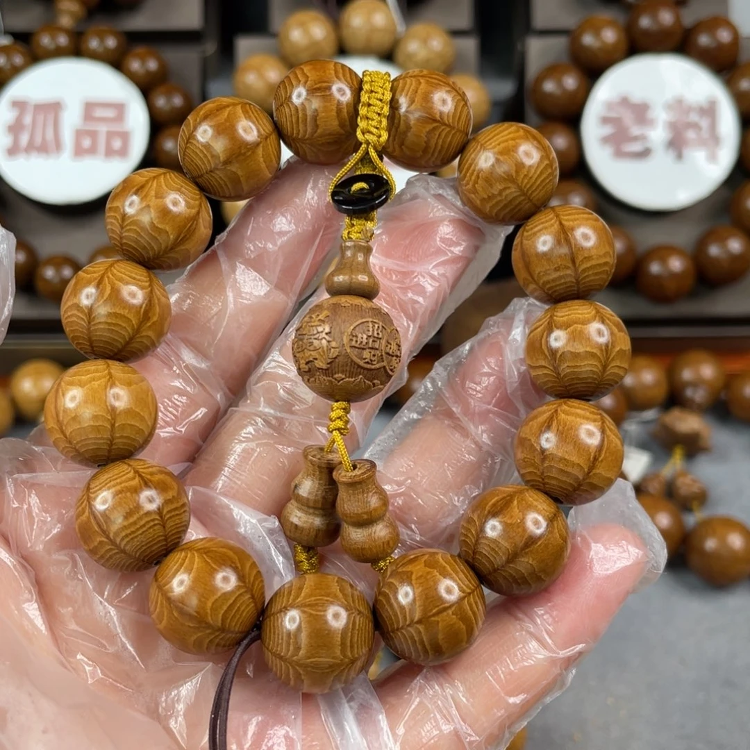 六道木1.5，黄金底，毕业