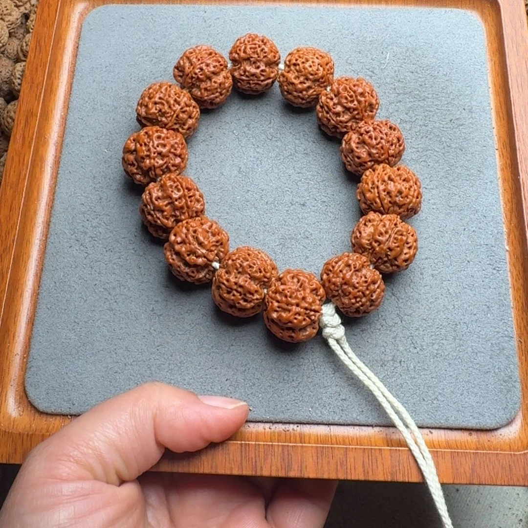 菩提菩提24尼泊尔大金刚22蜂窝双龙