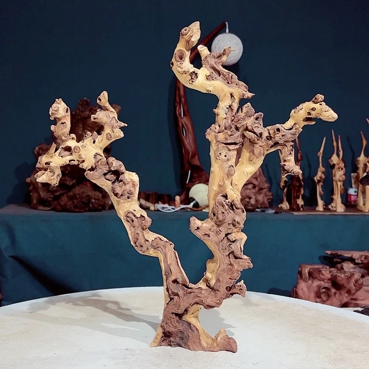 黑果木三*383金丝红木羊蹄甲半成品