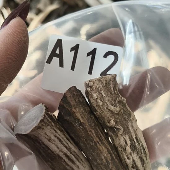 云***暖鹿角鹿角鹿角鹿角鹿角