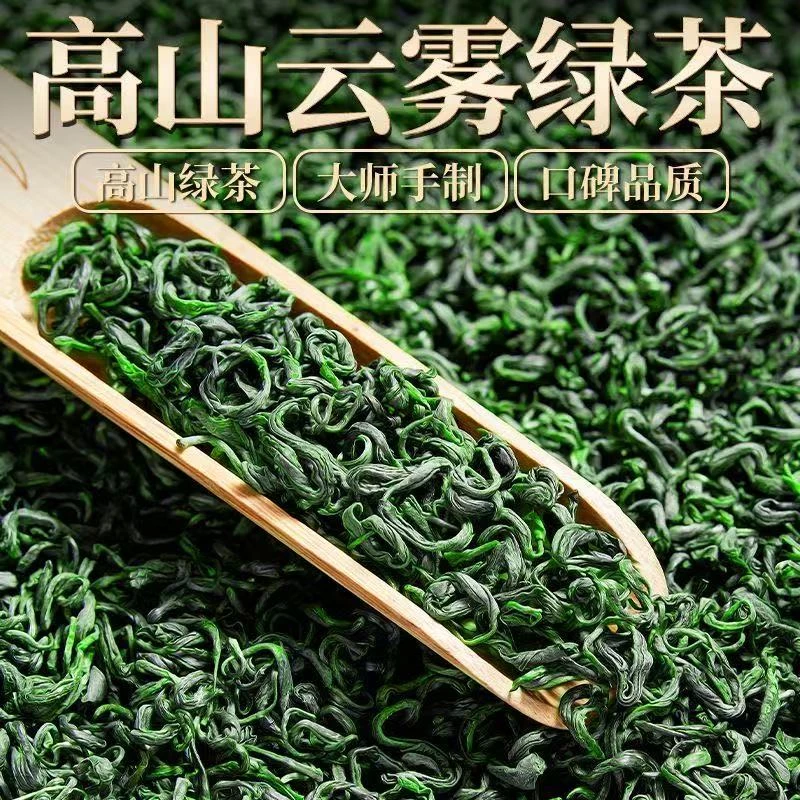 【福建直发】高山云雾绿茶250g