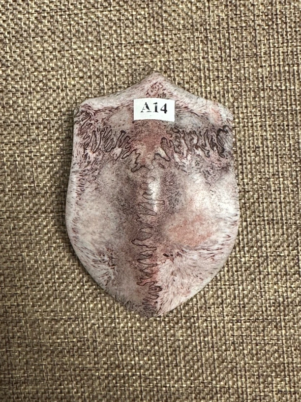 三界牌 a14文玩 公鹿鹿骨 高密高料 吊坠 手把件 雕刻 文玩人必备