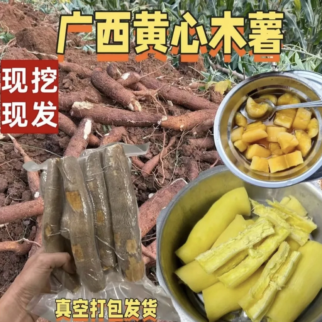 广西新鲜现挖黄心木薯黄肉粉糯香甜糖水店专用粗粮
