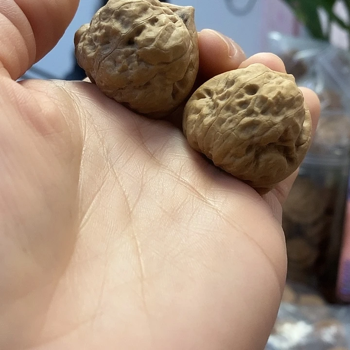 文玩核桃把件34古蝉油
