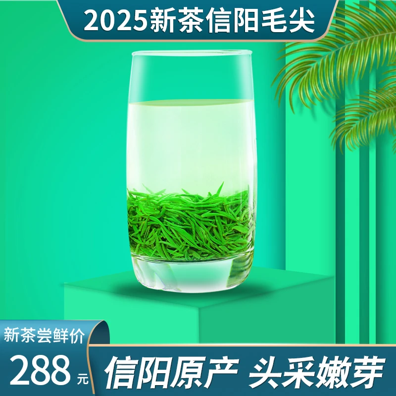 绿茶新茶2025新茶正宗信阳毛尖明前特级嫩芽手工春茶高山云雾茶