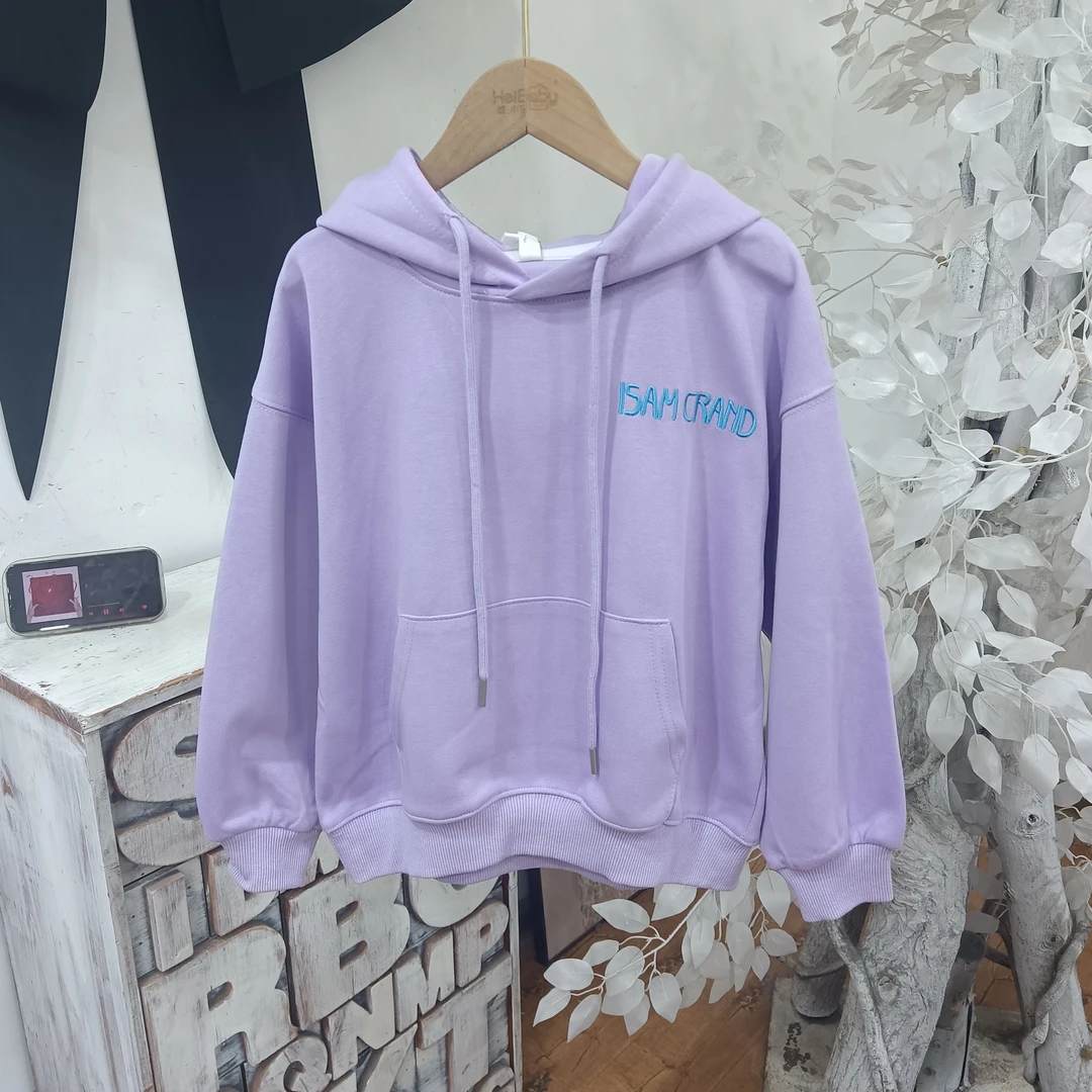 X167紫色春秋卫衣童装