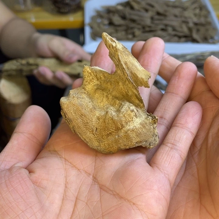 N***1沉香沉香碎屑壳子10克