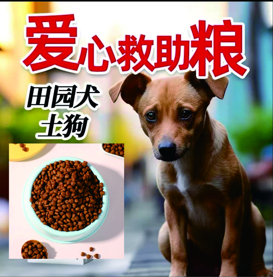 直接【发基地】（自用勿拍）狗粮犬粮