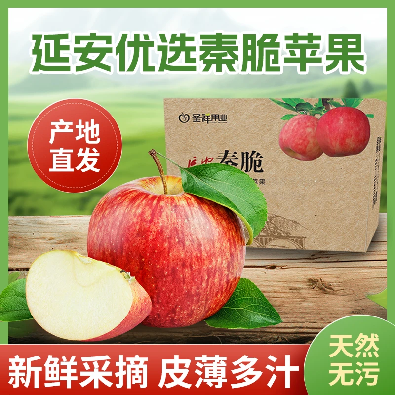 延安秦脆苹果当季新鲜苹果脆甜多汁【原产地直发】包邮【12颗装】