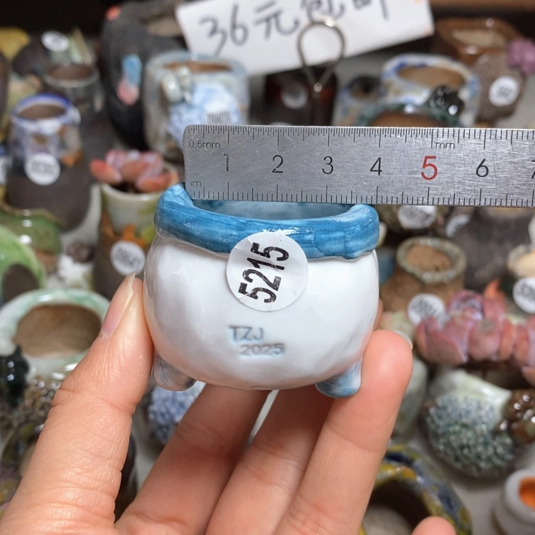 拍3送一个小礼物