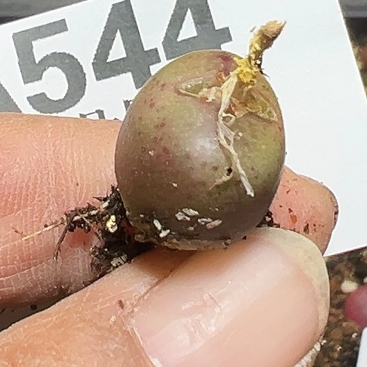 ʚ***ɞ544号吕毛杂xyxyxyxyxy