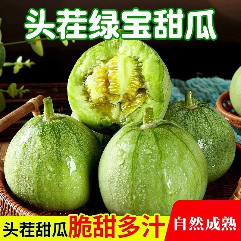 头茬现摘绿宝香瓜 嘎嘎甜