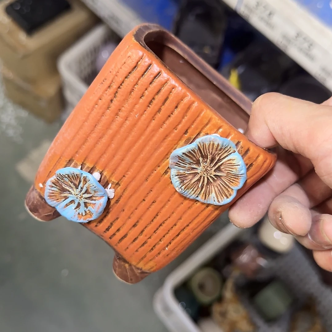 ··福利局·订单满9元合并发··491