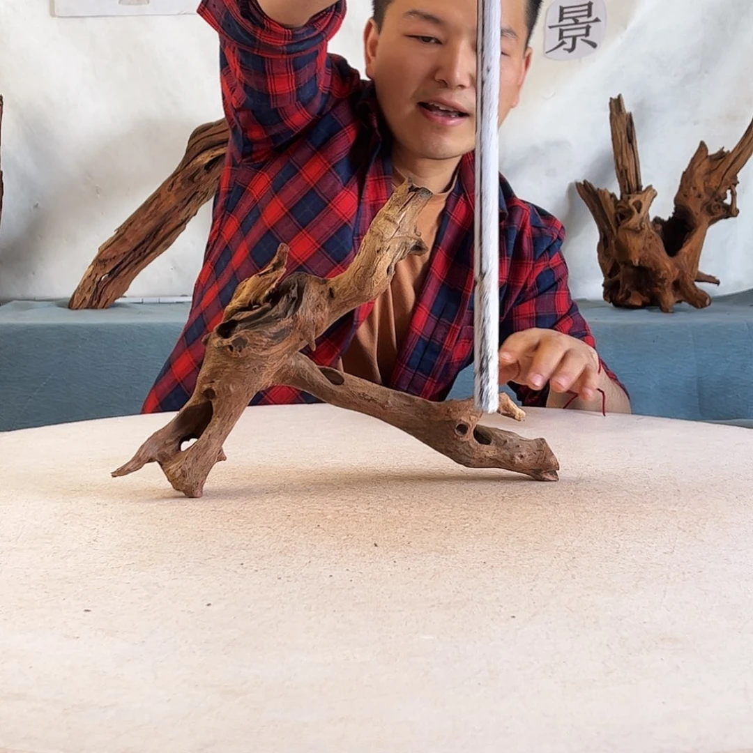 31.22.7 沉木造景爬宠造景